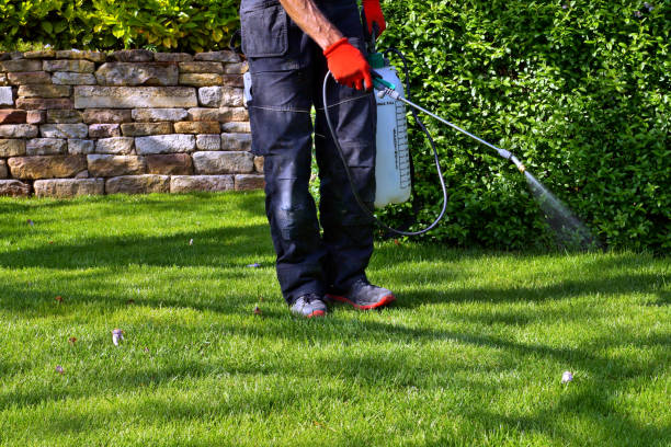  Seagoville, TX Pest Control Pros